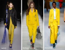 fall_winter_2018_2019_color_trends_ceylon_yellow.jpg